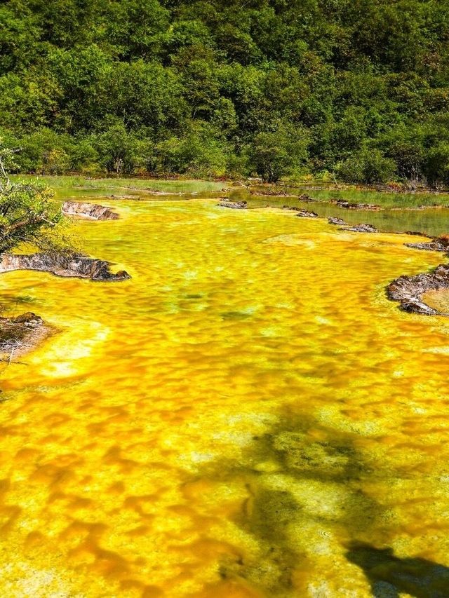 黃龍風景區旅遊攻略