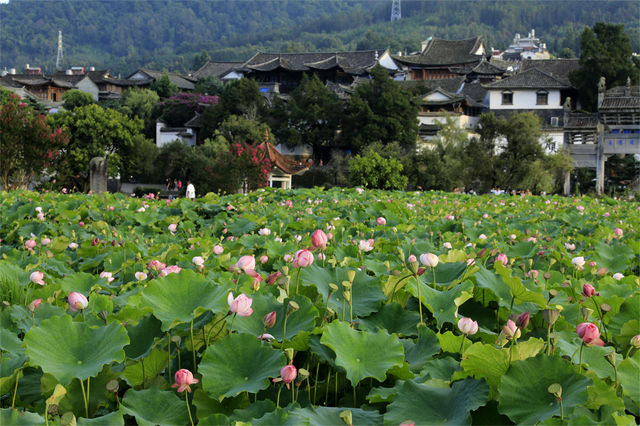安家19℃春天，邂逅慢活詩意