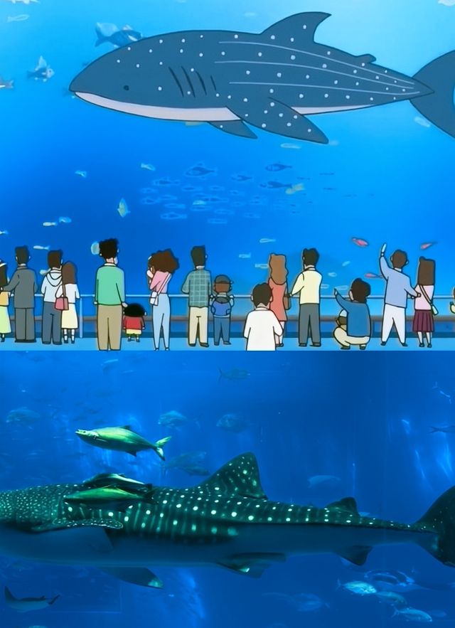 闖入沖繩果凍海溫柔鄉！住進海上城堡，開啟慵懶度假模式！