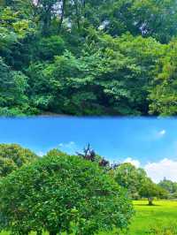 蘇東坡城冇呃我！宜興真係好隱世