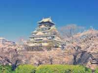 **【穿越時空的浪漫！大阪城公園親身體驗全記錄】**  