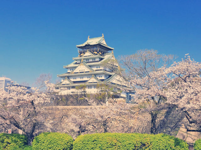 **【穿越時空的浪漫！大阪城公園親身體驗全記錄】**  
