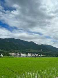 安吉竹林秘境指南