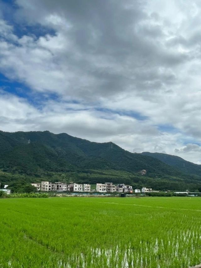 安吉竹林秘境指南