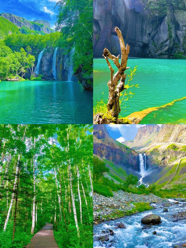 長白山濕地漫遊
