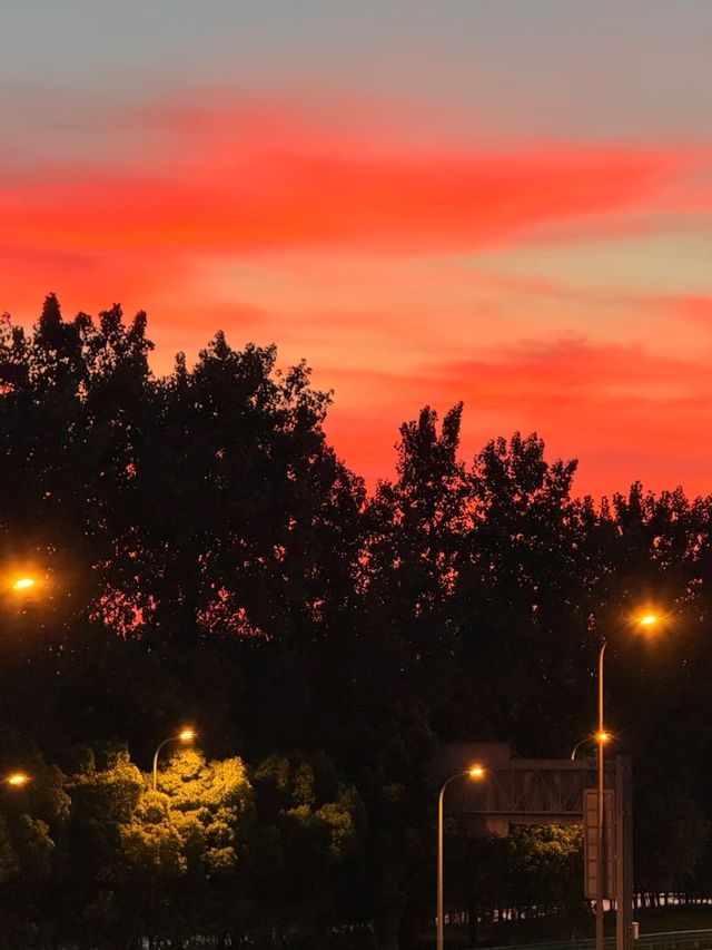上海，仲夏夜之夢
