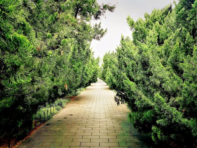 Exploring Chaoyang District's Parks: A Green Oasis in Beijing
