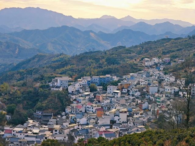 七月小岫村：清涼峰下的綠色寶藏 七月，懷揣著敬畏與好奇，走進黃山市三陽鎮小岫村，彷彿翻開了一本