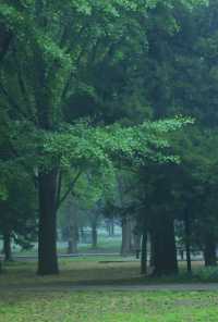 雨後獨享天壇秘境