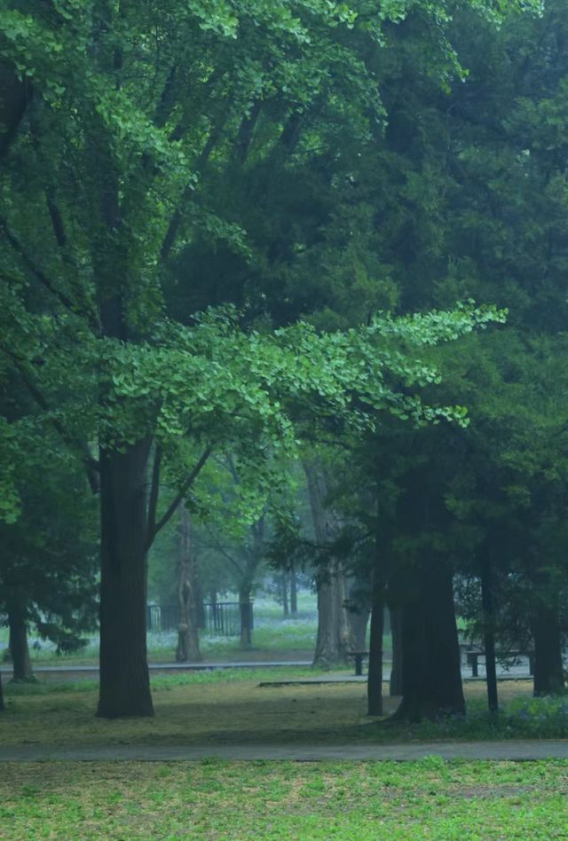 雨後獨享天壇秘境