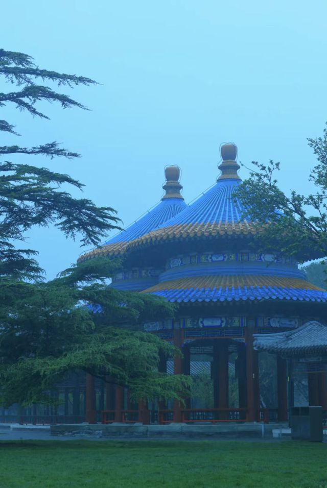 雨後獨享天壇秘境