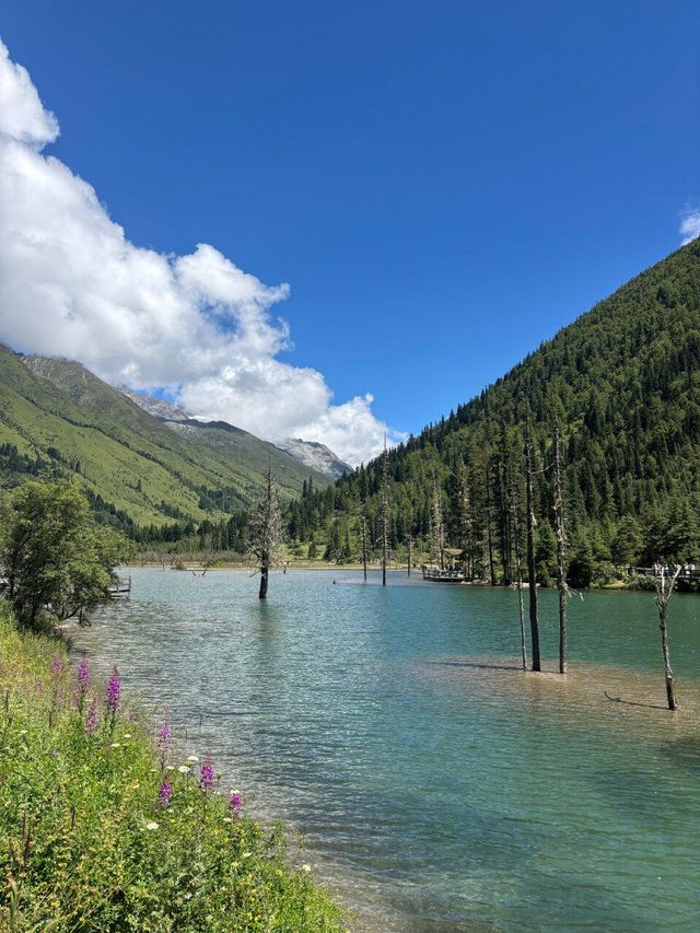 總要留一個夏天給川西四姑娘山吧！