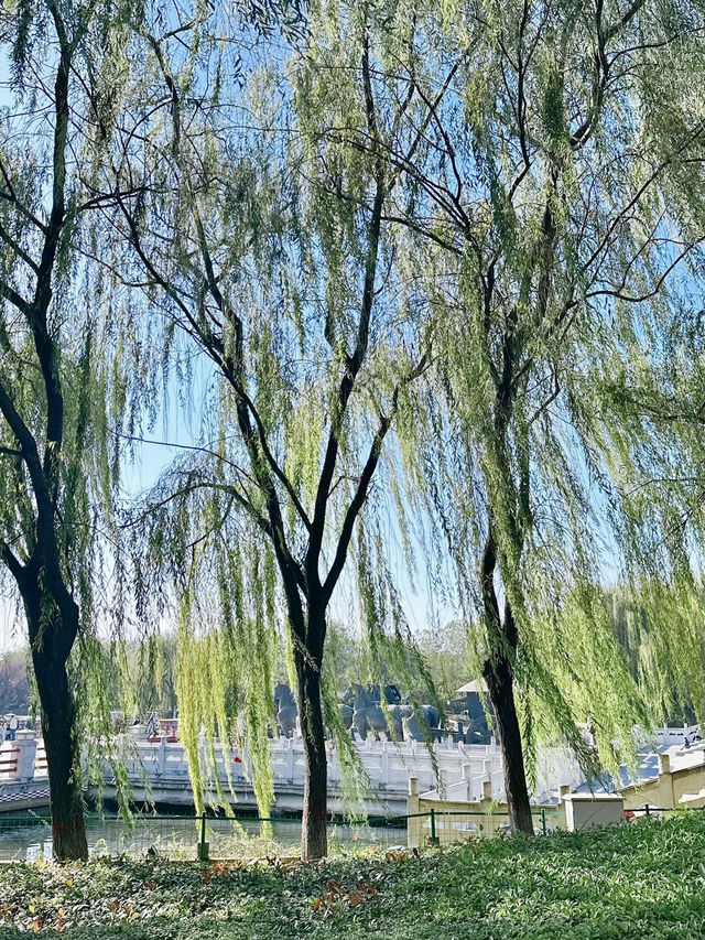 水光映古韻——西安漢城湖的悠然時光