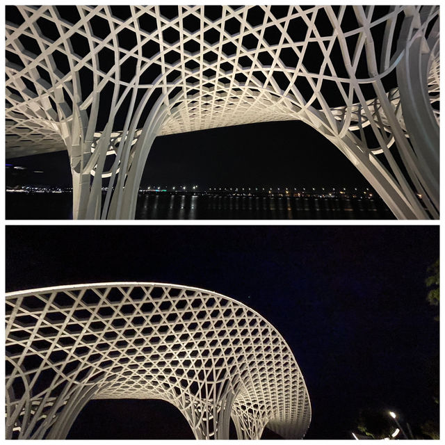 🌌深圳歡樂港灣:臨海燈影與「湾区之光」的夜遊聖地 🌌深圳歡樂港灣:臨海燈影與「湾区之光」的夜遊聖地