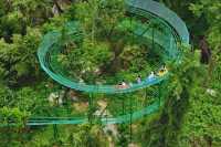 避暑就來三峽九鳳谷，解鎖山水間的清涼