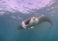 Top Maldives Resort Experience