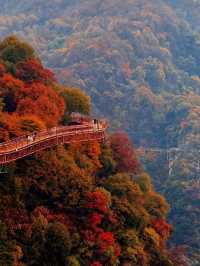 1.5h溜出西安直達少華山看漫山紅遍
