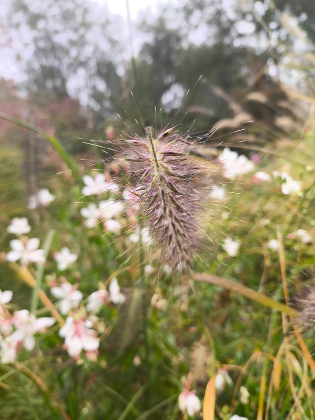 秋風起時,這些地方美成了油畫 秋風起時,這些地方美成了油畫