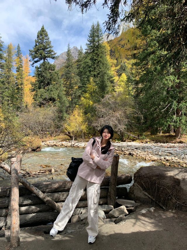 10.16四姑娘山現狀，已經開始慢慢變黃了！