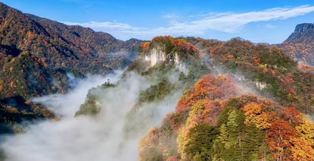 光霧山賞秋指南｜附自由行攻略+避坑指南