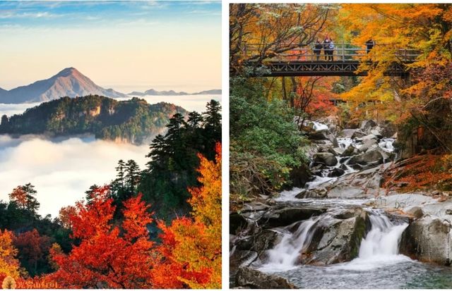 中國紅葉第一山！高鐵可達，即將漫山紅遍！