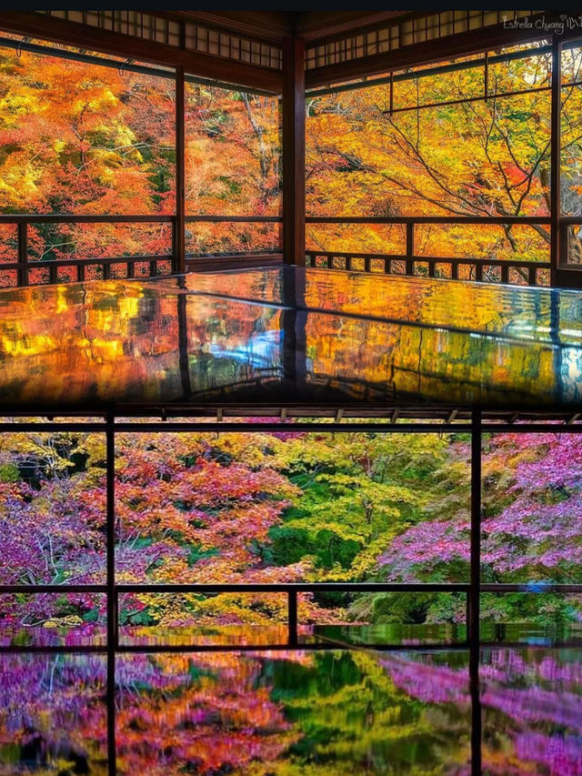 2025年日本超強紅葉攻略