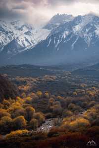 西寧的秋：一半金黃染高原，一半湛藍映山河