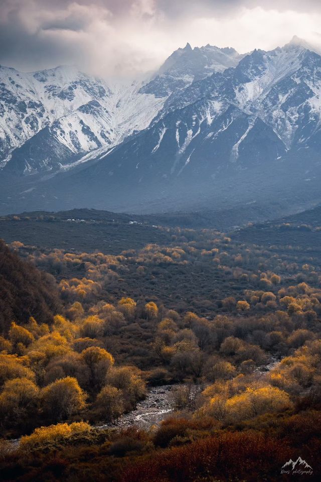 西寧的秋：一半金黃染高原，一半湛藍映山河
