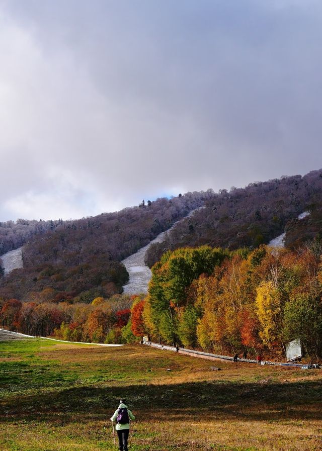 亞布力暖居別墅｜在童話裡滑雪，在城堡裡躺平！ 【住進風景裡的神仙操作】 - 窗外即大片：