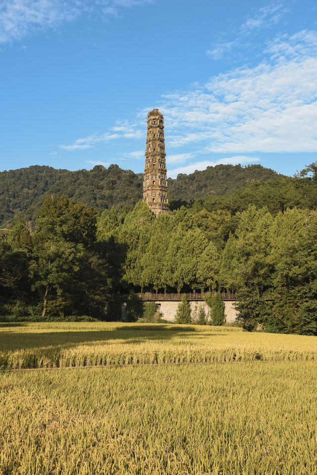 秋風微涼，稻穀滿倉：記第四次去國清寺