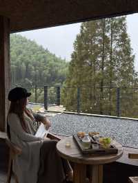 安吉民宿staycation｜來山裡和杉樹見一面