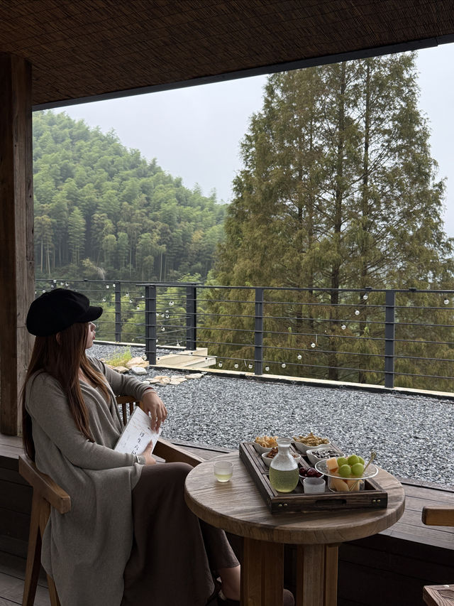 安吉民宿staycation｜來山裡和杉樹見一面