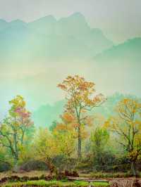 紅橙黃綠 ，最美秋天