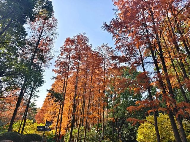 魔都小眾寶藏地人民公園漫遊指南