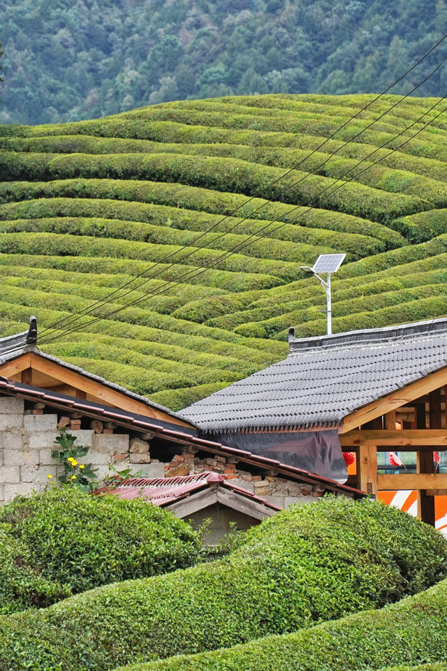 瓷都景德鎮，小眾玩法看這篇