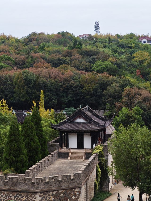 探秘海鹽南北湖高陽山談仙嶺,邂逅古韻與自然之美 探秘海鹽南北湖高陽山談仙嶺,邂逅古韻與自然之美