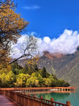 Autumn colors the Basongcuo Lake, with snow-capped mountains and clear waters like a painting.