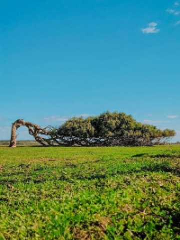 澳洲包車必打卡景點清單來了