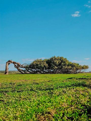 澳洲包車必打卡景點清單來了 澳洲包車必打卡景點清單來了