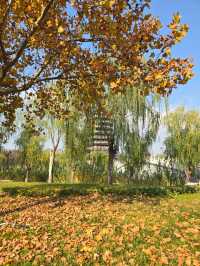 淄博小眾文藝地標攻略-海岱樓鐘書閣