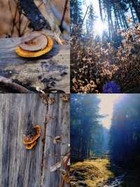 免費吸氧地！貴德江拉旅遊實用筆記