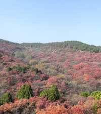 濟南賞秋之紅葉谷