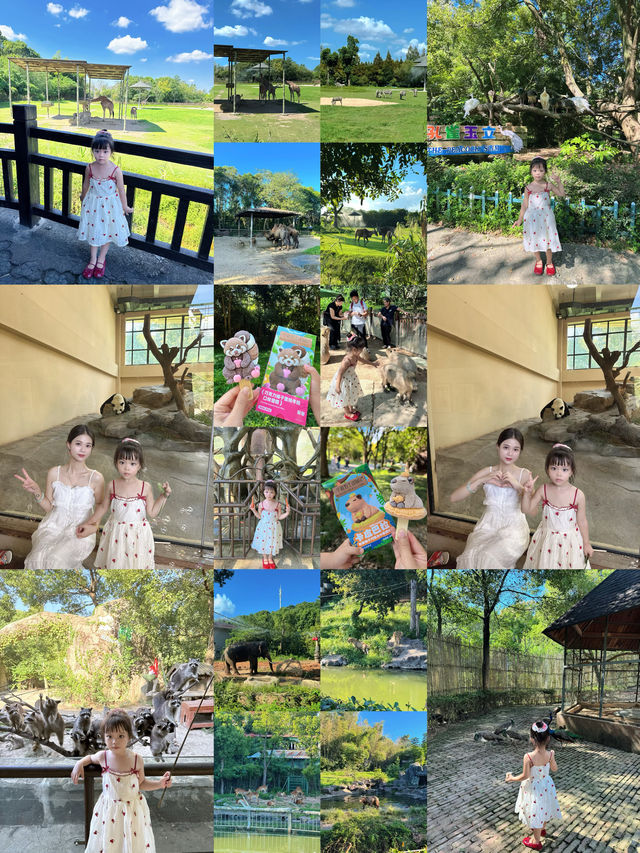 寧波一日遊!寧波野生動物園遛娃全職業攻略! 寧波一日遊!寧波野生動物園遛娃全職業攻略!