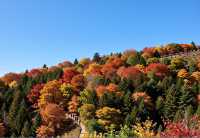 北京美到心顫的紅葉