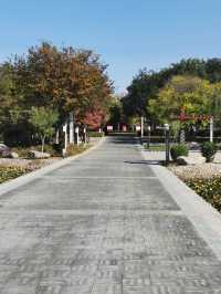 【河南省湯陰縣】城南公園。