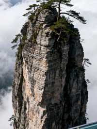 湖南張家界:石英峰林刺破雲端,玻璃棧道上的心跳與仙境撞個