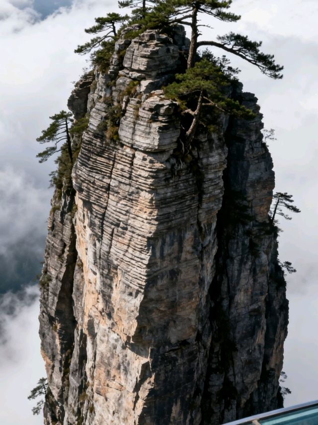 湖南張家界:石英峰林刺破雲端,玻璃棧道上的心跳與仙境撞個 湖南張家界:石英峰林刺破雲端,玻璃棧道上的心跳與仙境撞個