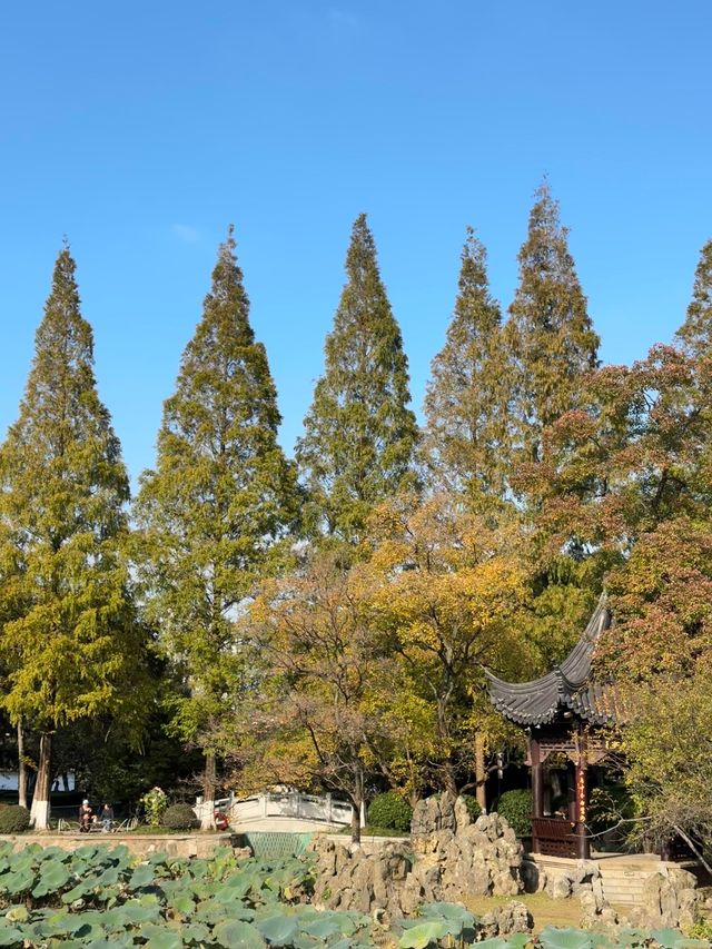 這個公園必須得去啊