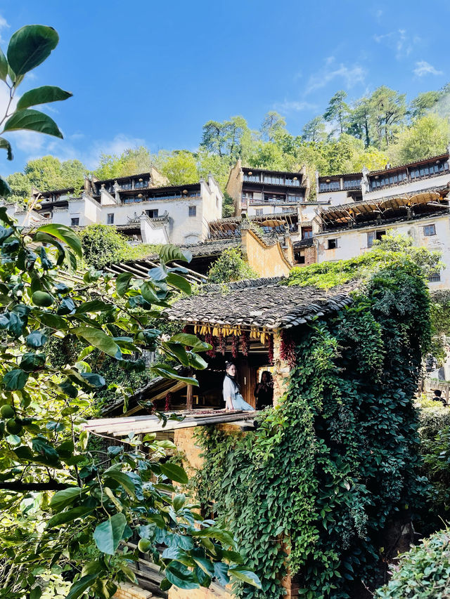 篁嶺的秋色……/與遼寧美女同行