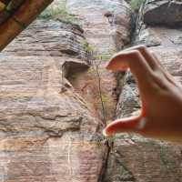 新安秘境！闖入現實版綠野仙蹤，龍潭大峽谷絕了！  爆裂推薦理由 洛陽小九寨！瀑布群+碧綠潭水美